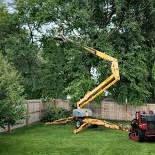 Seasonal Cleanup (Spring/Fall) in Cologne, MN